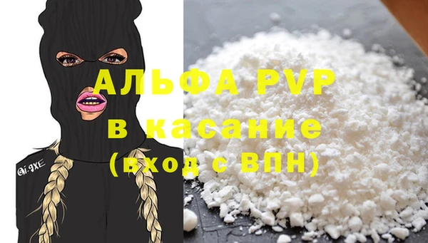 прущие грибы Балабаново