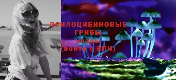 тгк Армянск
